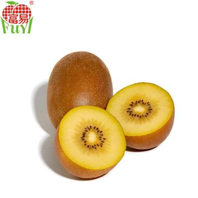 China China fresh fresh red kiwi fruit supply for sale