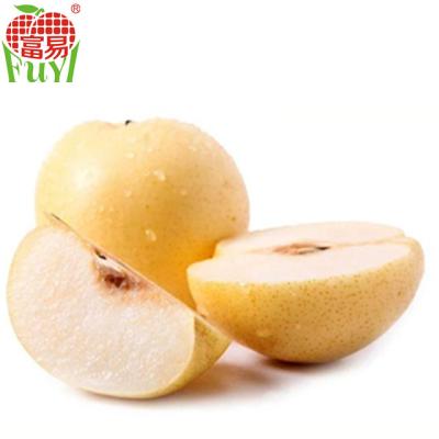 China Fresh fresh pear from pear su with the best price of pears wholesale for sale