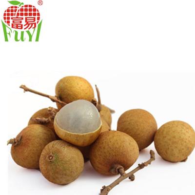 China 2015 July 100% Fresh Orchard Longan Sweet Fruit for sale