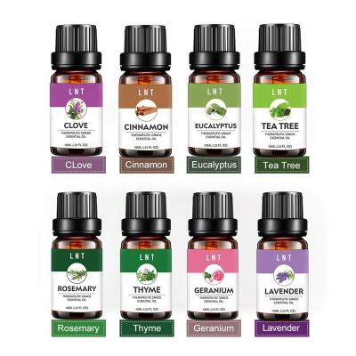 China Pure Tea Tree Eucalyptus Cinnamon Skin Revitalizer Aromatherapy Fragrance Oil Rosemary Thyme Geranium Lavender Clove Oil for Candle for sale