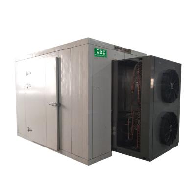 China Box Shaped Chinese Yam Dryer Food Processing Dryer Chinese Yam Drying Machine for sale