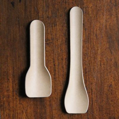 China Biodegradable Low MOQ Biodegradable Eco Friendly Paper Cutlery Paper Scoop for Ice Cream for sale