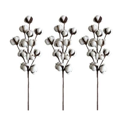 China Flower 12 Cotton Buds Stem Ball Natural Faux Cotton Branch Tall Stems 3 Stems Pack for sale