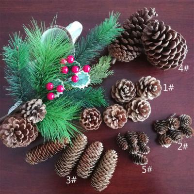 China Natural Natural Pinecones For Christmas Ornaments Shooting Props Dried Flowers for sale