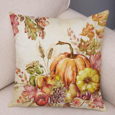 China PORTABLE Colorful Pumpkin Watercolor Design Plant Cactus Cushion Cover Super Soft Pillow Case 45*45cm For Car Sofa Pillowcase for sale