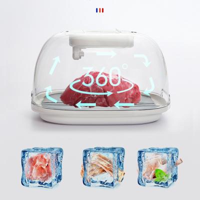 China New Kitchen Sustainable Tool Meat Defrost Box For Frozen Meat With High-speed Defrost Thawing Dish for sale