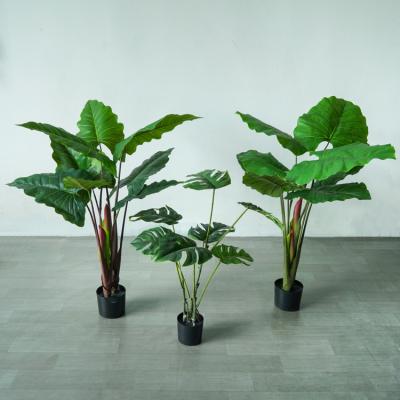 China Eco-friendly Materials Indoor and Outdoor Decoration Plants Craft Artificial Taro Taro Braid Indoor Evergreen Trees for sale