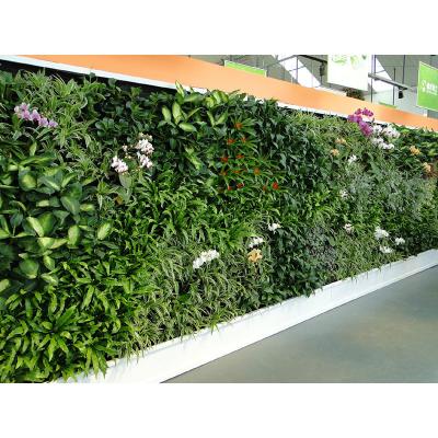 China Eco-friendly Boxwood Plastic Indoor Green Hedge Materials Exterior Wall Panels Plant Fiber Artificial Wall Panel for sale