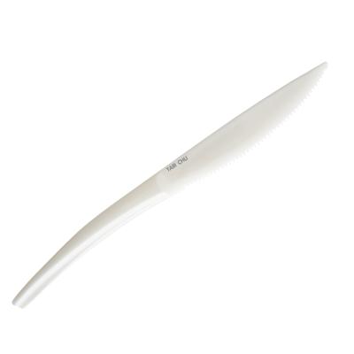 China Taiwan Tableware Wholesalers 19cm Disposable Plastic Custom Disposable Knife for sale