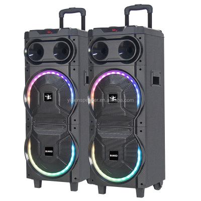 China OEM Colorful Household Light LED Audio Box, 10 Inch Active Super Bass Speaker Set, RGB Home Trolley Wireless Speaker for sale