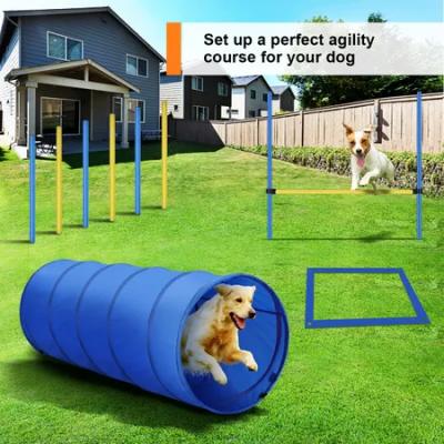 China Viable Dog Agility Equipment Set 28 PCS Pet Obstacle Training Course Tunnel Pole Break Box Carry Bags for sale