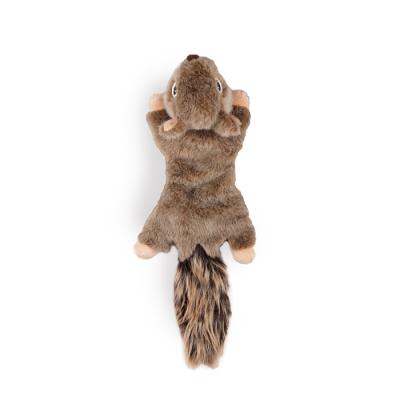 China Hot Selling All-For-Paws Amazon Felicy Squirrel Dog Cat Plush Toy Pet Toys Plush Dog Chew Toy for sale