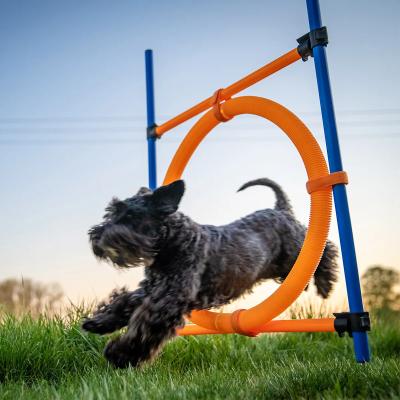 China Sustainable Dogs Outdoor Games Agility Exercise Training Adjustable Height Jumping Ring Pet Agility Training Equipment For Dogs for sale