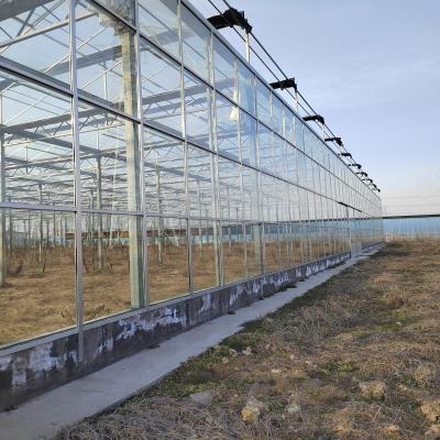 China Stable Structure Easily Assembled Good Quality Commercial Glass Greenhouses Galvanized Steel Frame Greenhouse Tunnel for sale