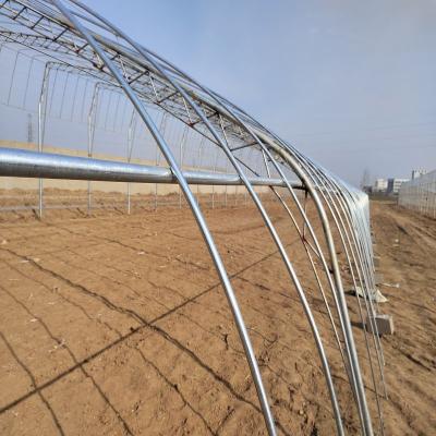 China Stable Structure Easily Assembled Agricultural Cultivation Base Greenhouse Solarium Film Greenhouse for sale