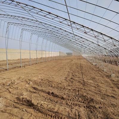 China Stable Structure Easily Assembled Movie Greenhouse Uniform Light Four Seasons Planting Galvanized Steel Pipe Greenhouse for sale