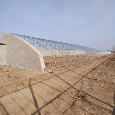 China Stable Structure Easily Assembled Greenhouse Agriculture Industrial Single Span Film Nursery Sun Greenhouse for sale