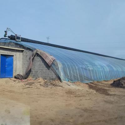 China Stable Structure Easily Assembled Basic Greenhouse Plastic Film Cheap Agricultural Single Span Greenhouse for sale