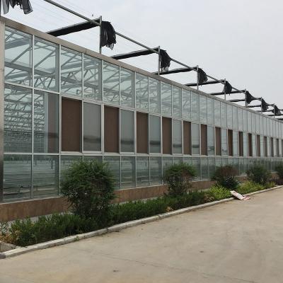 China Stable Structure Easily Assembled Luxury Greenhouse Garden Greenhouse Kits Accessories Solar Glass Multi-Span Greenhouses for sale