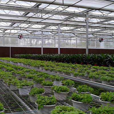 China Stable Structure Easily Assembled High Tech Glass Greenhouse Multi-span Agricultural Greenhouses for sale