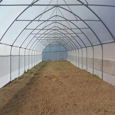 China Stable Structure Easily Assembled Hot Sale Easily Installed Agricultural Film Covered Greenhouse Arched Tunnel Greenhouse For Vegetable And Fruit for sale