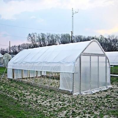 China Stable Structure Easily Assembled Wholesale Plastic Film Greenhouse Galvanized High Steel Frame Tunnel Greenhouse for sale