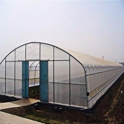 China Stable Structure Easily Assembled High Quality Cheap Plastic Sheet Greenhouse Outdoor Tunnel Greenhouse For Vegetable And Fruit for sale