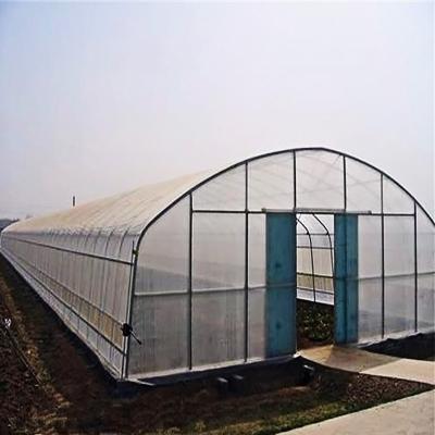 China Stable Structure Easily Assembled Large Size Cheap Flower Greenhouse Film Plastic Tunnel Greenhouse For Agriculture for sale