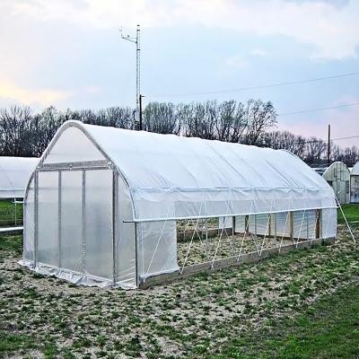 China Stable Structure Easily Assembled Outdoor Tunnel Greenhouse Stainless Steel Film Tunnel Agricultural Planting Greenhouse For Plant Flowers Fruits for sale