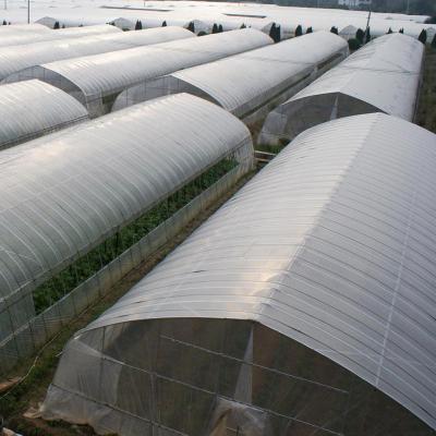 China Stable Structure Easily Assembled Single-span Steel Greenhouse Greenhouse Wholesale Galvanized Plastic Green Truss Sheet Film House for sale