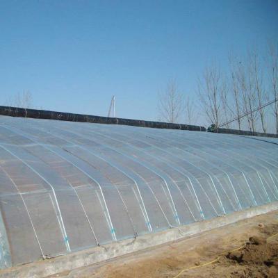 China Stable structure easily assembled agriculture green house equipment tunnel greenhouse film multi-span plastic greenhouse film for sale