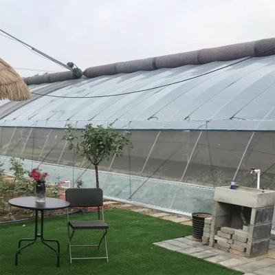 China Stable Structure Easily Assembled Multi-span Agricultural Metal Frame Greenhouse Film Tomato Rose Plastic Tunnel Greenhouse for sale