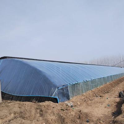 China Stable Structure Easily Assembled Large Size Hot Galvanized Steel Tunnel House Greenhouse Greenhouse For Vegetable Fruits Flowers for sale