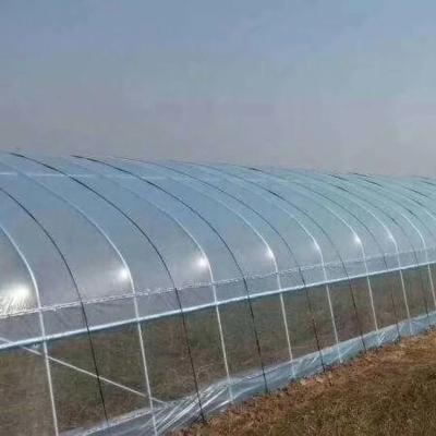 China Stable Structure Easily Assembled Wholesale Garden Vegetable Fruit PE Grow Film Greenhouse Micron Greenhouse Plastic Film for sale