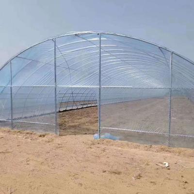 China Stable Structure Easily Assembled Factory Supplier Galvanized Steel Frame PE Greenhouse Film Single-Span Vegetable Film Greenhouse for sale