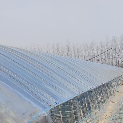 China Stable Structure Easily Assembled Single Span PO Film Greenhouse Agriculture Low Energy Sunlight Home Greenhouse Film for sale