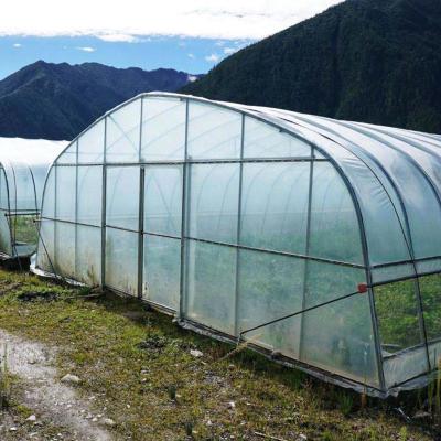 China Stable Structure Easily Assembled Manual Or Electric Film Greenhouse System Ventilation Roof Plastic Greenhouse Film for sale