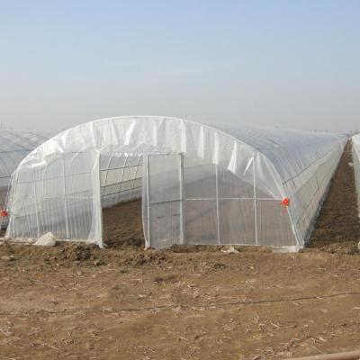 China Stable Structure Easily Assembled Greenhouse Agricultural Film Hydroponic Growing Systems Plastic Film Greenhouse for sale