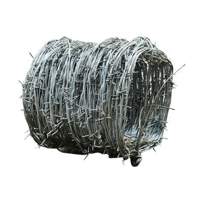 China High Quality Galvanized Barbed Wire Barbed Wire Manufacturer In China for sale