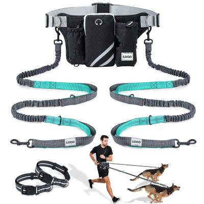 China 2022 Hands Free Thoughtful Dog Leash With Double Bungees Adjustable Restraint Belt With Thoughtful Spiking Belt Bag Leash for sale