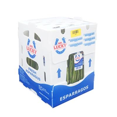 China Recyclable fruit box pp plastic corrugated plastic packaging corrugated plastic trash cans for sale