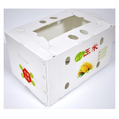 China Recyclable PP Corn Packing Box PP Coroplast Corn Packing Box Strong Corrugated Box For Packing Corn for sale