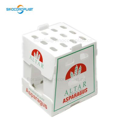 China Recyclable Waterproof Plastic Corrugated Vegetables PP Asparagus Box for sale