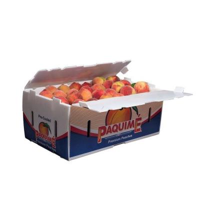 China Veggie Waterproof Collapsible Corrugated Plastic Box for sale