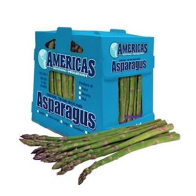 China 11Lbs Corflute Correx Asparagus Plastic Waterproof Packaging Box for sale