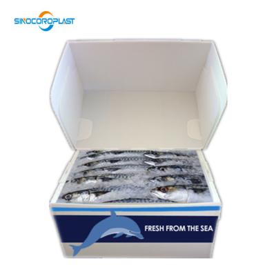 China Recyclable Plastic Corrugated Fish Box for sale