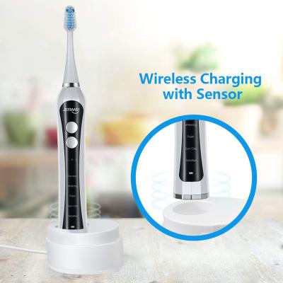 China Private Label Battery Operated 15 Certificate Rechargeable Automatic OEM Model Sonic Electric Toothbrush for sale