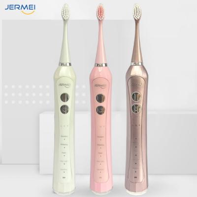 China Battery Operated Toothbrush Electric Brush One Dent Electric Adult Automatic Toothbrushes for sale