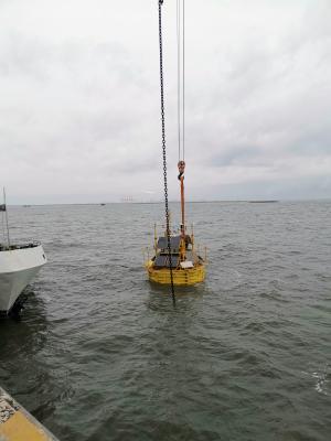 China NSW Wellenboje Marine-Kette Abholboje für Wellenmessungen zu verkaufen