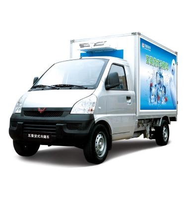 China Longest Cost Efficient Working Life Mini Freezer Truck 4705*1615*2370 for sale